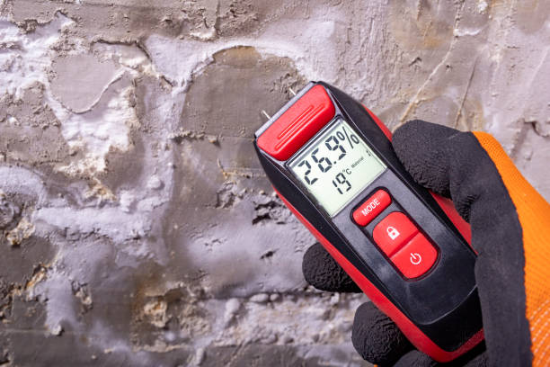 Best Home Mold Removal  in Saegertown, PA