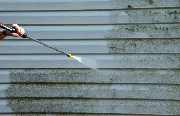 Best Mold Cleaning Services  in Saegertown, PA