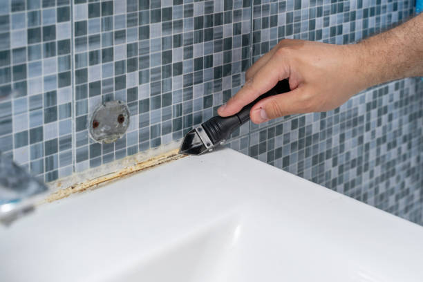 Best Toxic Mold Removal  in Saegertown, PA