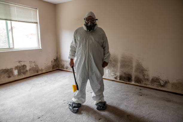 Best Mold Removal Company Near Me  in Saegertown, PA